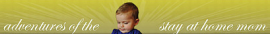 WiFi Baby Product Review
