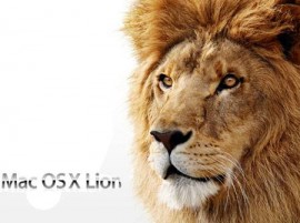 Lion OS X WiFi Baby