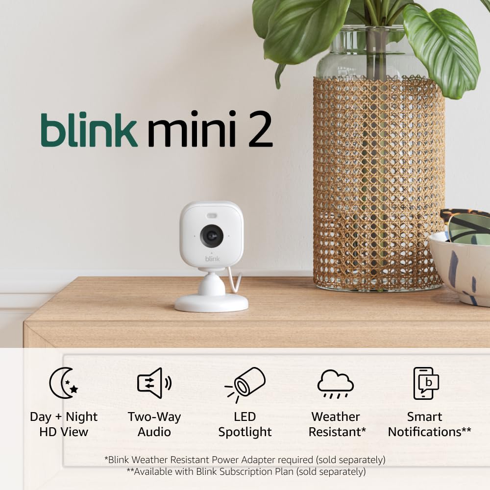 Blink Mini 2 Review